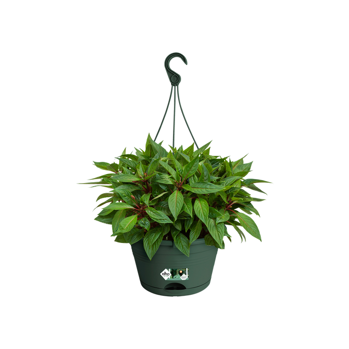 green basics hangschaal 28cm blad groen